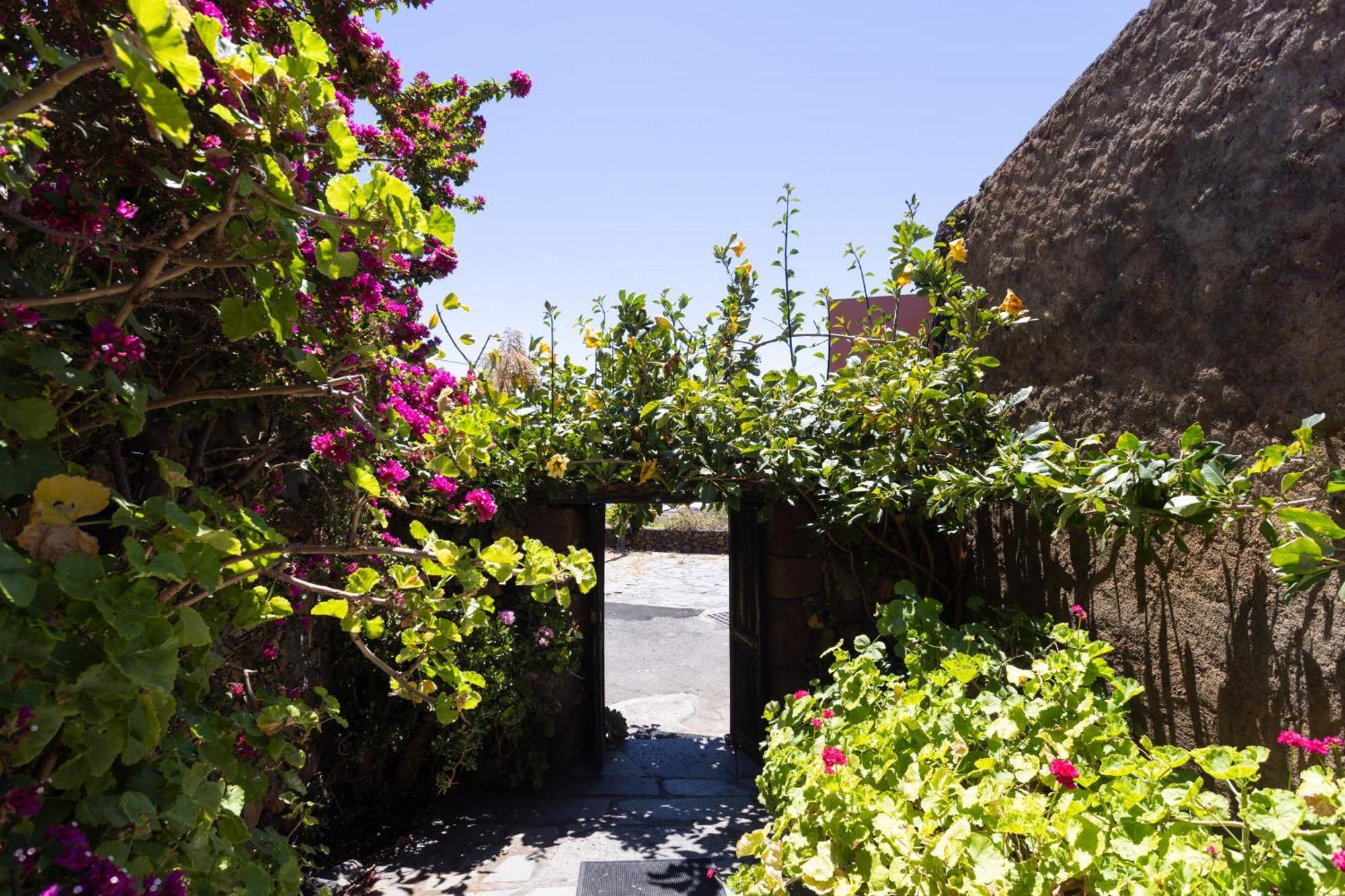 Charming Rustic House El Pinar & Wifi Guest House Ngoại thất bức ảnh