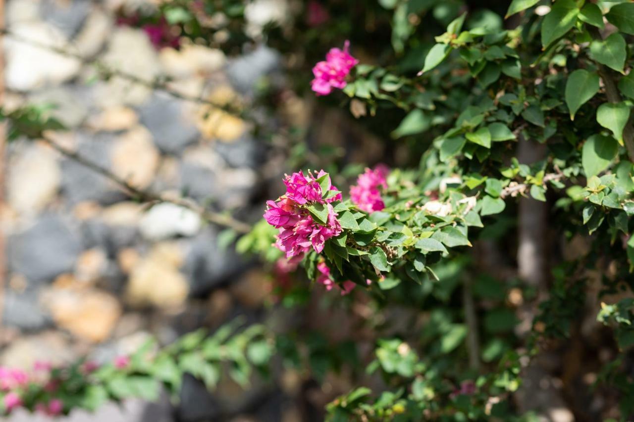 Charming Rustic House El Pinar & Wifi Guest House Ngoại thất bức ảnh